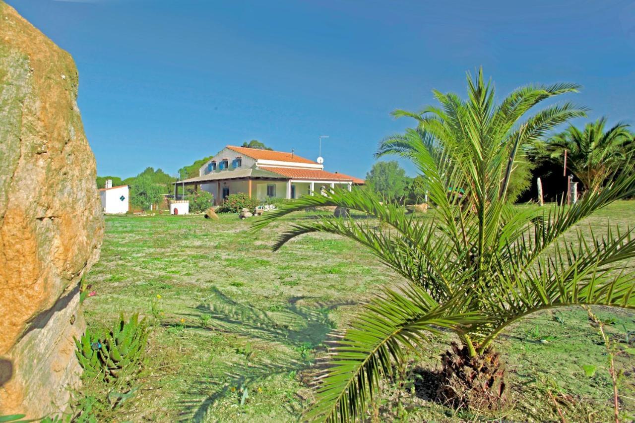 Alba B&B การ์โลฟอร์เต ภายนอก รูปภาพ